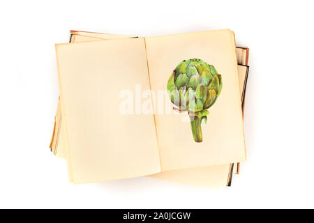 An open old book with an illustration of an artichoke and copy space, a recipe design template, shot from above on a white background Stock Photo