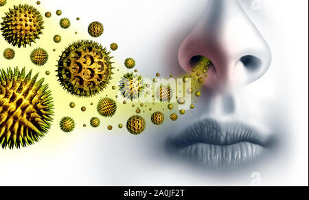 Pollen allergies symptoms and seasonal allergy or hay fever allergy and medical concept as a group of microscopic organic pollination particles. Stock Photo