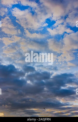 Multi colored clouds before the storm. The sky at sunset. Cumulus clouds lit by the rays of the setting sun. Stock Photo