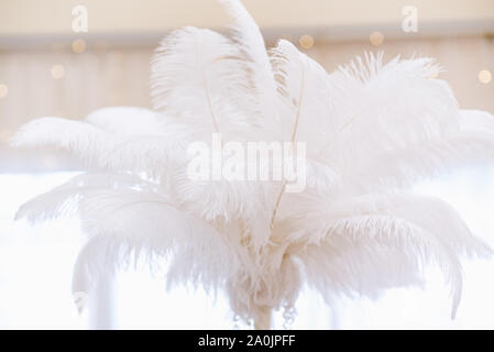 A large white cloud of feathers in the bright interior of the restaurant hall. Stock Photo