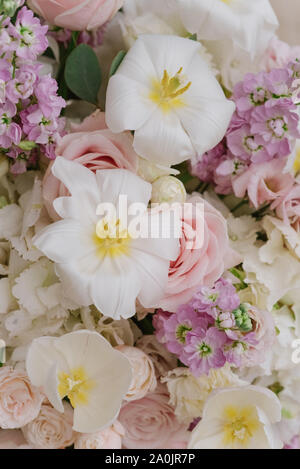 Unusual white flowers, lilies with yellow midterms amid other flowers from the floristic composition. Stock Photo