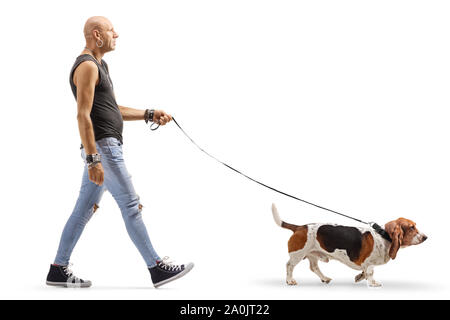 Full length profile shot of a bald man in ripped jeans walking a basset hound dog isolated on white background Stock Photo