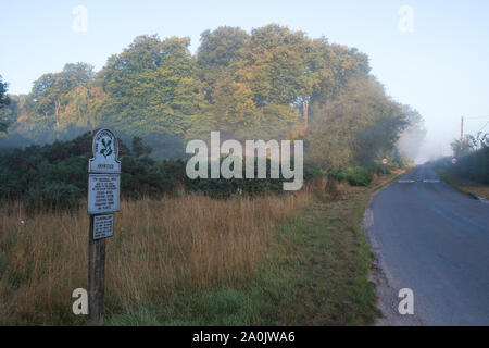 Morning mist and near the entrance to Ling Ride on an unnamed road near Ringshall, Ashridge Woods, Hertfordshire, 20th September 2019 Stock Photo