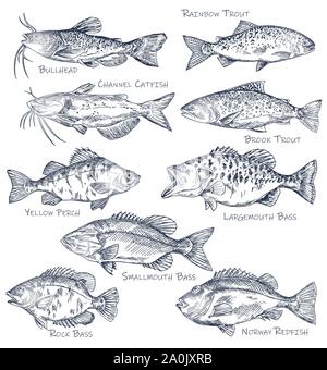 Sketch icons of seafood or water fish. Fishing Stock Vector