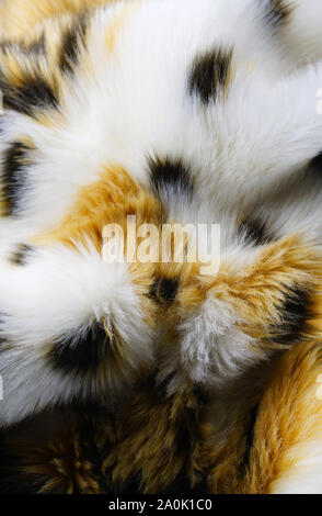 Fur background. Tricolor fur. White faux fur with black and orange spots. Stock Photo