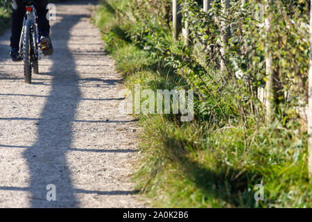 A walking and cycling path in rural Birmingham, West Midlands Stock Photo