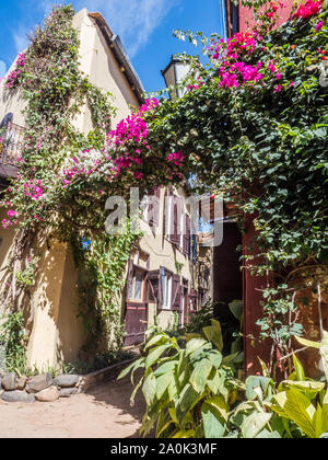 Goree, Senegal- February 2, 2019: Red, sandy path between the houses with plenty of colorful flowers on the Goree island. Gorée. Dakar, Senegal. Afric Stock Photo