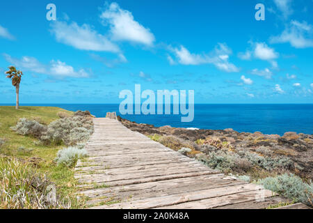 wooden walkway near ocean coast  - wood footpath - Stock Photo