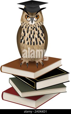 owl with graduation hat over the books illustration Stock Vector
