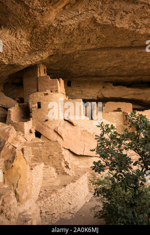 Path leading to stone cliff dwelling built into the sandstone rocks and inhabited until 13th century, Cliff Palace, Ancient Puebloan  housing, Mesa Ve Stock Photo