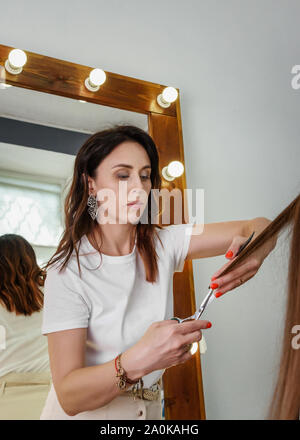 Professional hairdresser cutting long brown hair. Process of hair styling in beauty salon Stock Photo