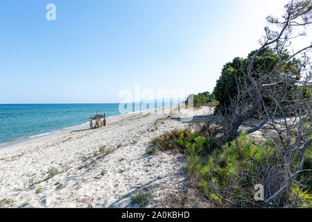 Tourists on a sandy Beach and mediterranean sea during summer with copy space, Ghisonaccia, Corsica, France Stock Photo