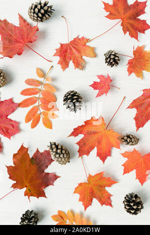 Vertical background of autumn mixture of red leaves and firtree cones Stock Photo