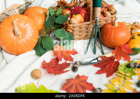 Composition of pumpkins and apples, walnuts, acorns, leaves and garden worktools Stock Photo