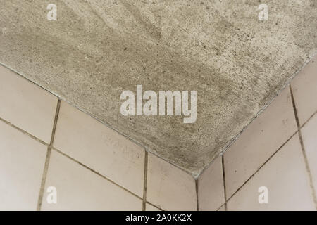 Spot of mold, mould, mildew or fungas on corner of ceiling above dirty tile pale pink wall. Stock Photo