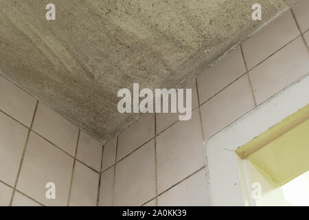 Spot of mold, mould, mildew or fungas on white ceiling above dirty tile pale pink wall and door in toilet. Stock Photo