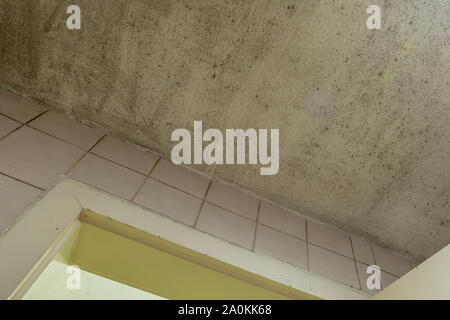 Spot of mold, mould, mildew or fungas on white ceiling above dirty tile pale pink wall and door in toilet. Stock Photo