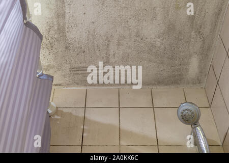 Mould In A Corner Of A Bathroom Stock Photo 68615561 Alamy