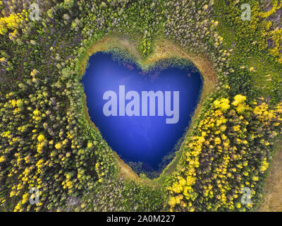 Forest heart shaped lake with sky reflection top aerial view. Wildlife and nature conservation theme Stock Photo