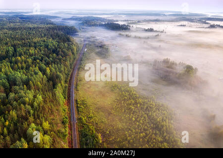 Single track railway through the misty woodland aerial view at summer morning Stock Photo