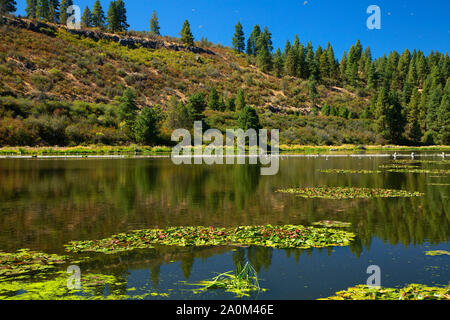 Lake Ewauna, Keno Recreation Area, Klamath County, Oregon Stock Photo