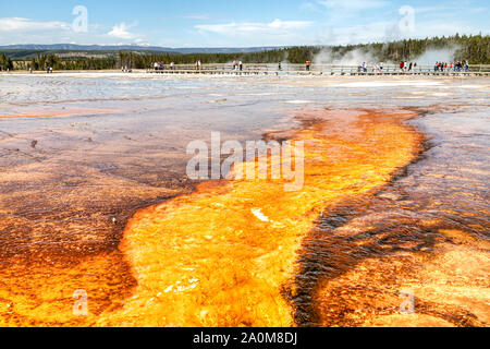 Steam rises from the Grand Prismatic Spring in Yellowstone National Park. It is the largest hot spring at Yellowstone National Park with up to 330 fee Stock Photo