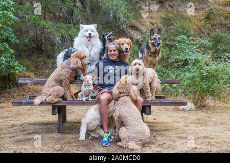During a break, professional dog walker and trainer Juan Carlos Zuniga surrounded by dogs on a park bench. Stock Photo