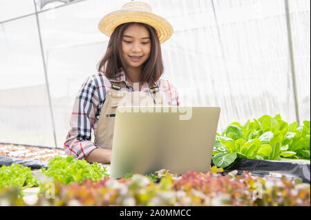 Hydroponic female farmer collecting vegetable growth information and using laptop for upload data to customer for online trading internet for sale. Te Stock Photo