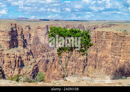 View of Arizona's Little Colorado River Gorge, USA Stock Photo