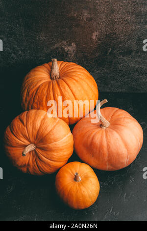 Photo of four orange pumpkins on blank black background, halloween ...