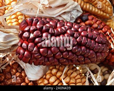 Colorful red and yellow corncobs Stock Photo