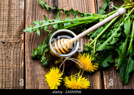 Dandelion honey jar and wooden stick in honey on rustic wooden background Stock Photo