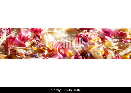 Scattered colored flower petals border on blurred background close up, delicate flowers petals soft focus frame, holiday decorative banner, beautiful Stock Photo