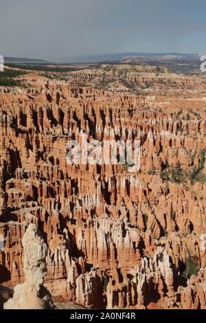 in USA  bryce   national  park the beauty of amazing nature tourist destination Stock Photo