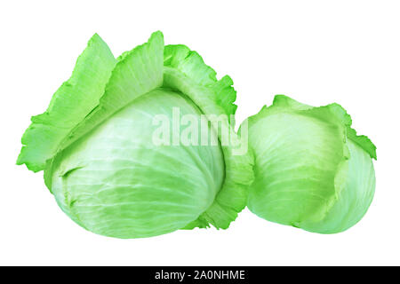 Two whole heads of green leafy cabbage on white background isolated closeup, big and small round ripe white headed cabbage, fresh vegetables design Stock Photo