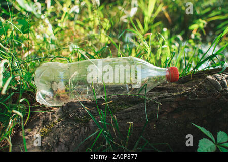 plastic bottle in the forest near the pond. Environmental pollution. Environmental issue and disaster. Go Green, Zero Waste, Save the Planet, Earth Da Stock Photo