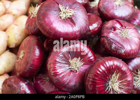 Heap of red raw onions sale at market close up, Allium cepa onion bulb with purple skin, onion variety Red Zeppelin with sweet taste, natural food Stock Photo