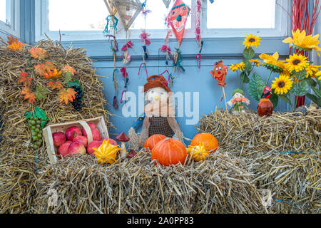 on a bale of straw apples and pumpkins were lovingly arranged as decoration Stock Photo