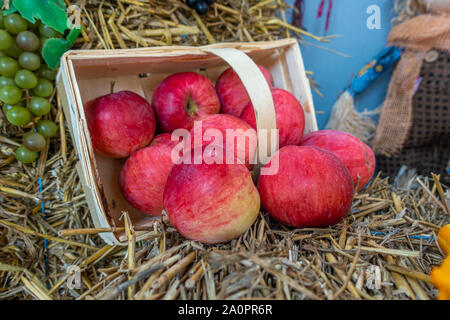 on a bale of straw apples and pumpkins were lovingly arranged as decoration Stock Photo