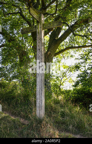 The Cotswold Way. A wooden signpost on Leckhampton Hill, Cheltenham Gloucestershire UK Stock Photo
