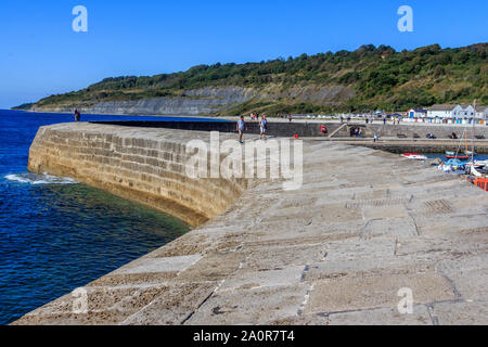 lyme regis south coast uk holiday resort, the historic cobb harbour, dorset, england, uk, gb Stock Photo