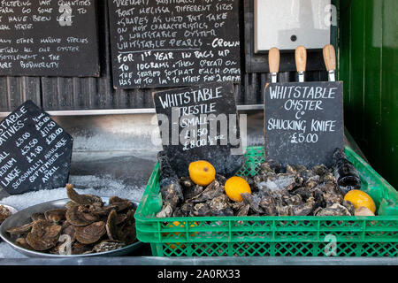 Whitstable oysters for sale on the Kent coast in late summer Stock Photo