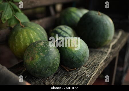 heap of ripe watermelons different on the bench in summer yard. Stock Photo