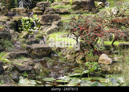 a Japanese garden with water and plants Stock Photo