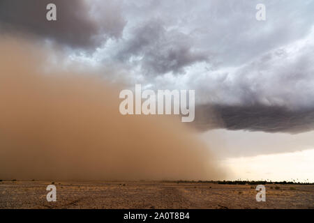A dense dust storm (haboob) moves through the desert near Coolidge, Arizona