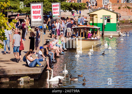 Stratford upon Avon, England, UK. People on the river bank watching swans and tourists taking boat trips on a summer day. Stock Photo