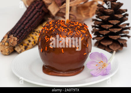 Carmel apple still life has orange and brown sprinkles, a purple autumn crocus flower on a white plate, with a pine cone and Indian corn. Stock Photo