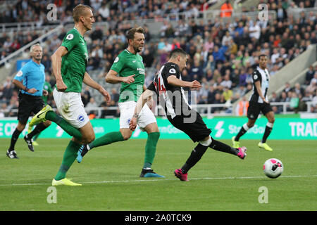 Newcastle, UK. 21st Sep, 2019.  Newcastle United's Miguel Almiron shoots towards goal during the Premier League match between Newcastle United and Brighton and Hove Albion at St. James's Park, Newcastle on Saturday 21st September 2019. (Credit: Steven Hadlow | MI News) Photograph may only be used for newspaper and/or magazine editorial purposes, license required for commercial use Credit: MI News & Sport /Alamy Live News Stock Photo