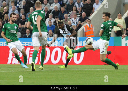 Newcastle, UK. 21st Sep, 2019.  Newcastle United's Allan Saint-Maximin shoots during the Premier League match between Newcastle United and Brighton and Hove Albion at St. James's Park, Newcastle on Saturday 21st September 2019. (Credit: Steven Hadlow | MI News) Photograph may only be used for newspaper and/or magazine editorial purposes, license required for commercial use Credit: MI News & Sport /Alamy Live News Stock Photo