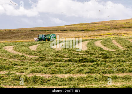 John Deere tractor towing McHale Fusion 3 integrated baler wrapper making sileage in Shetland. Ecosyl silage additive drum mounted on front of tractor Stock Photo